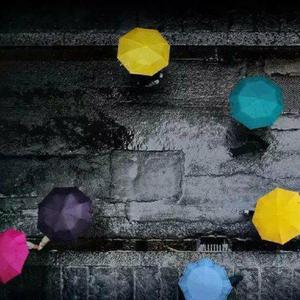 黄色片人与动物
