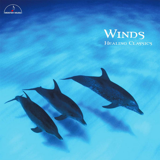 黄色片人与动物
